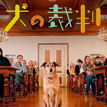 犬の裁判