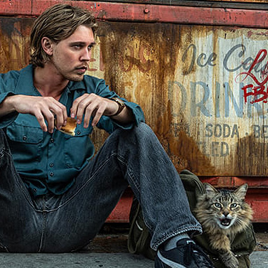 �R�[�g�E�X�e�B�[�����O�@�yPG12�z