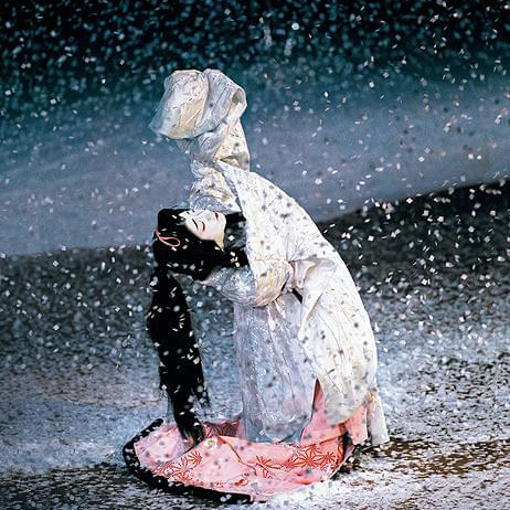 �s�V�l�}�̕���t �떺�^����������ԉ�