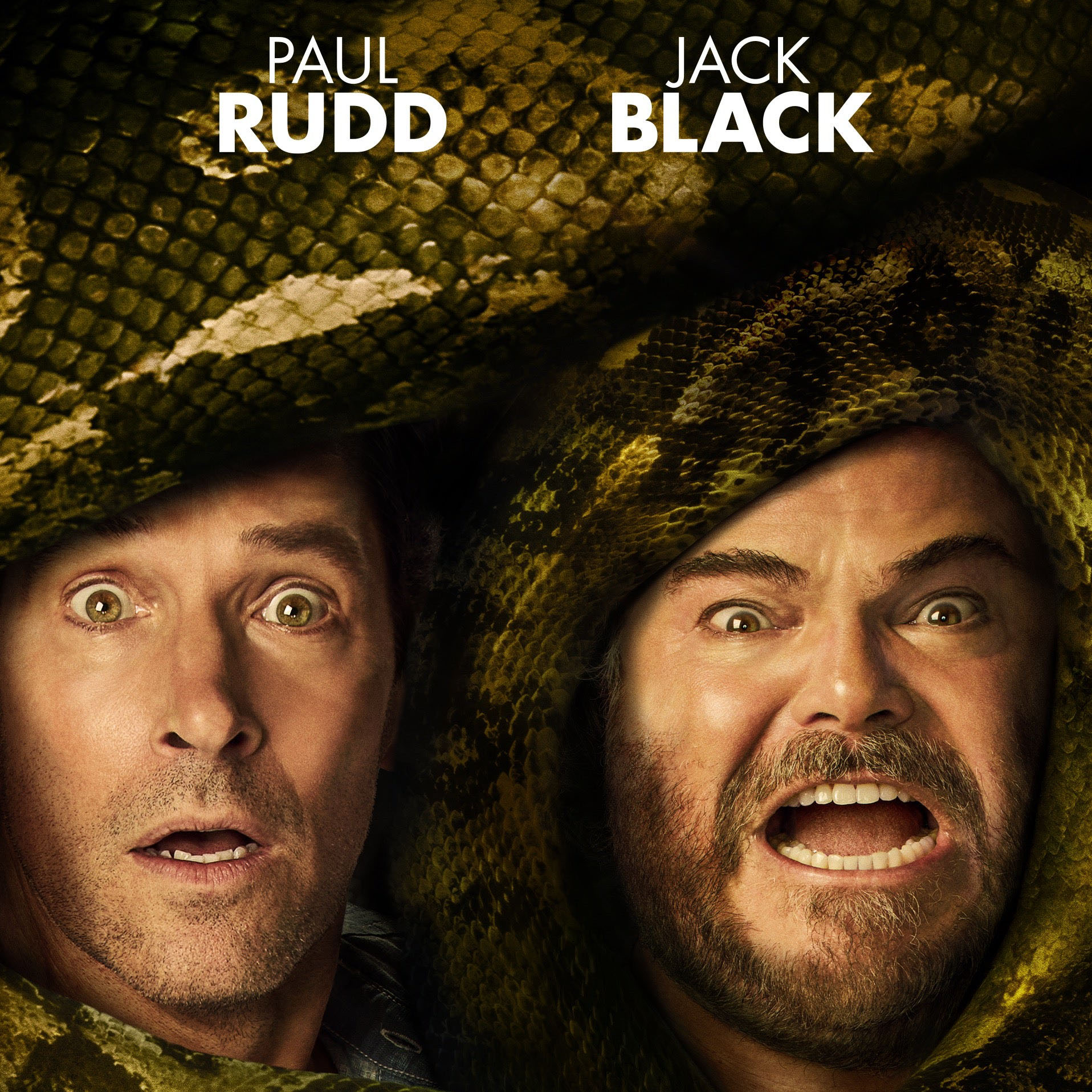 �������̃A�i�R���_